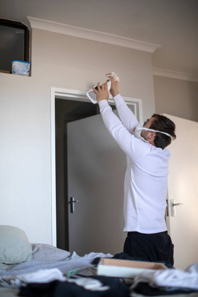 Trusted Mountain Lake Park, MD Mold Removal Experts