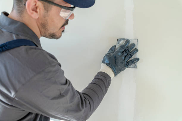 Best Residential Mold Inspection & Testing  in Mountain Lake Park, MD