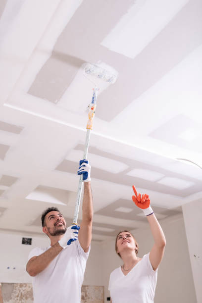 Best Water Damage & Mold Remediation  in Mountain Lake Park, MD