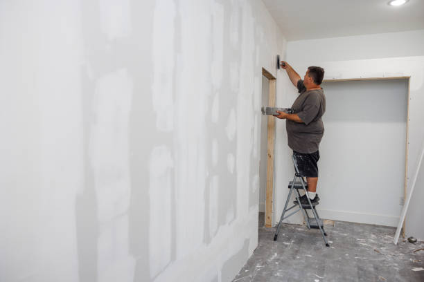 Best Real Estate Mold Inspection  in Mountain Lake Park, MD