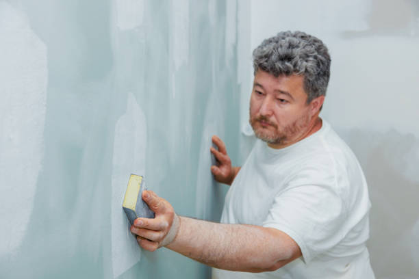 Best Emergency Mold Remediation  in Mountain Lake Park, MD