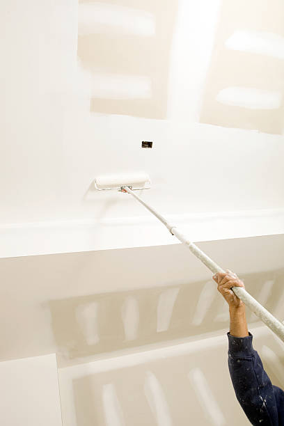  Mountain Lake Park, MD Mold Removal Pros