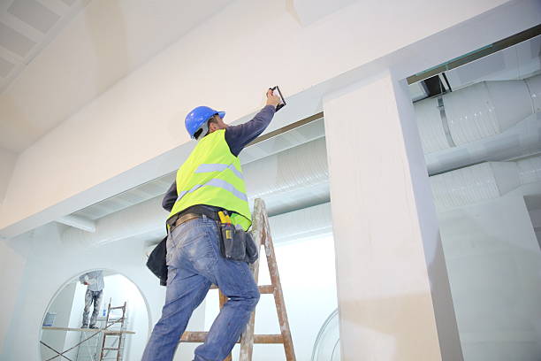 Best Mold Odor Removal Services  in Mountain Lake Park, MD