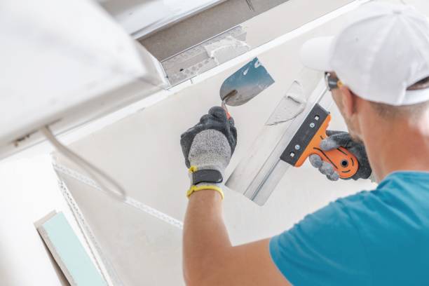Best HVAC Mold Inspection and Cleaning  in Mountain Lake Park, MD